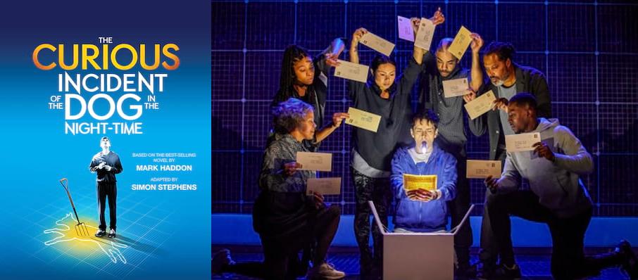 The Curious Incident of the Dog in the Night-Time at Sunderland Empire
